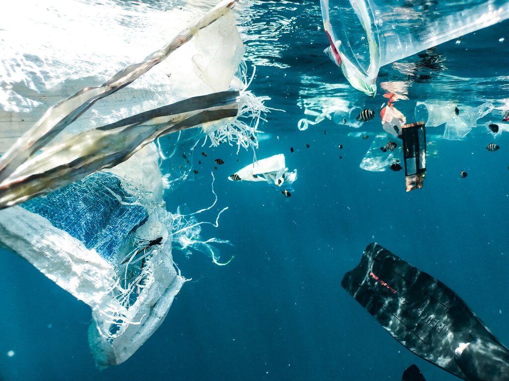 social cost of carbon; marine plastic pollution
