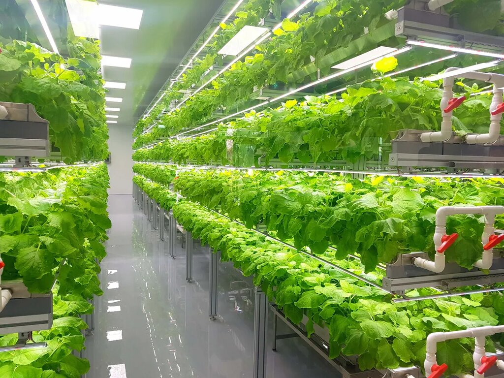 future of farming; vertical farming