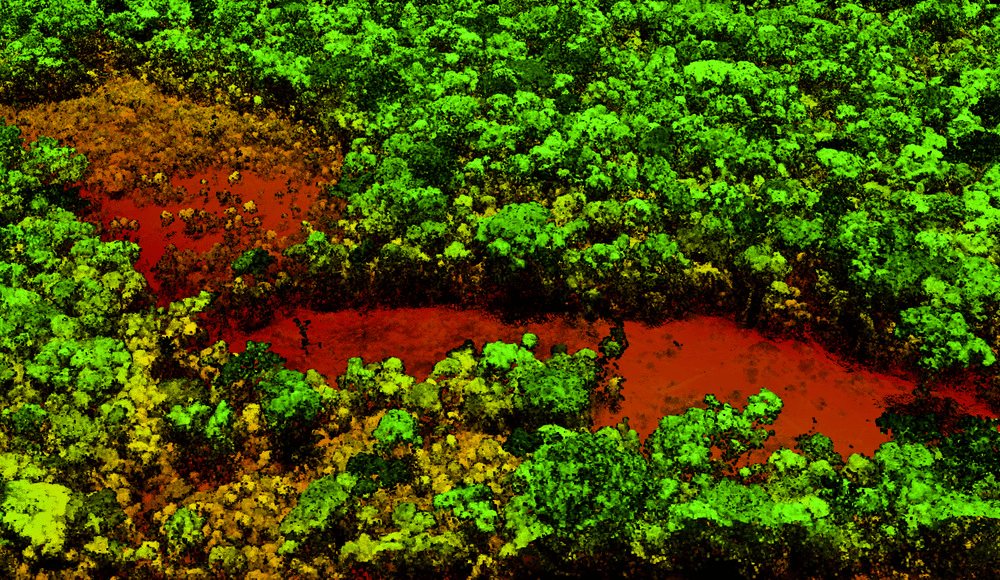 carbon offset schemes