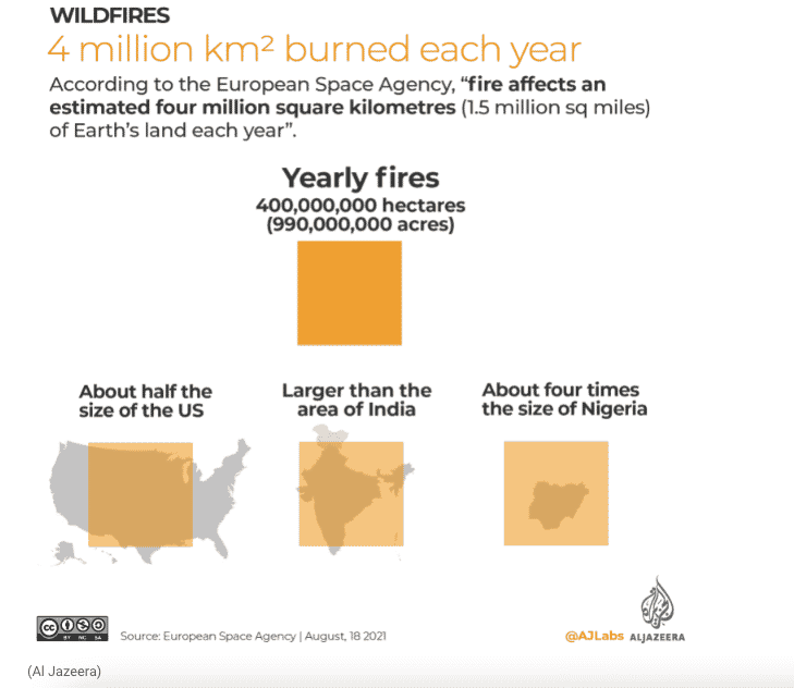 impact of wildfires