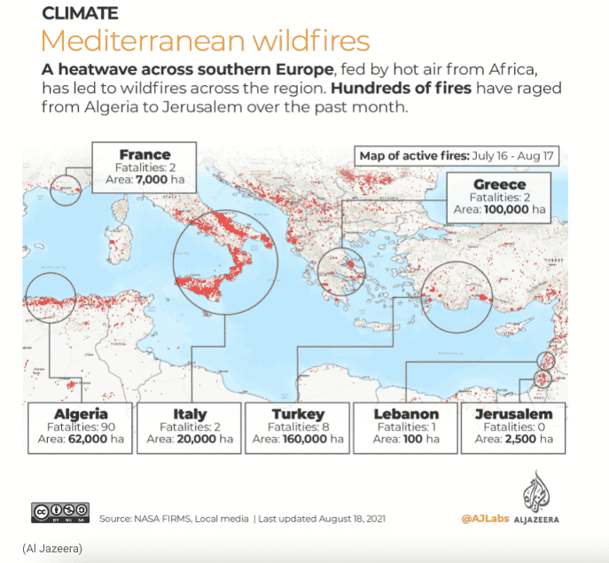 impact of wildfires