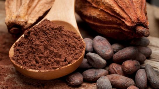 How Does Cocoa Farming Cause Deforestation? 