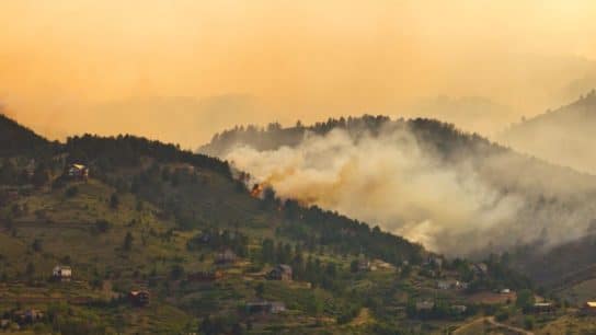 Countries Revive Coal Plants As Devastating Heatwave in Europe Fuels Earliest-Ever Fire Season