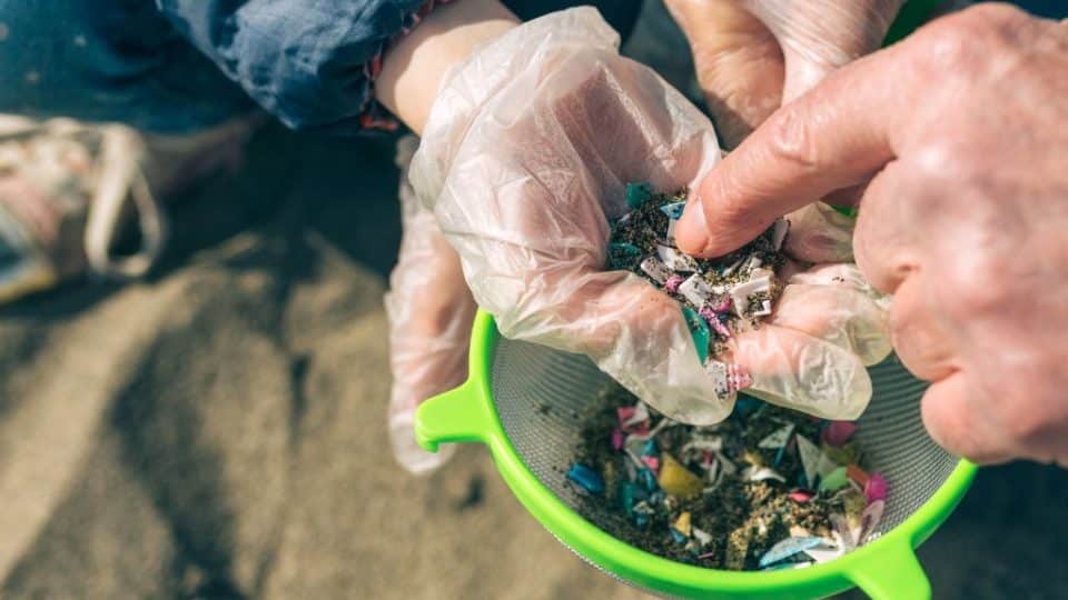 Hand look through microplastics collected in water.