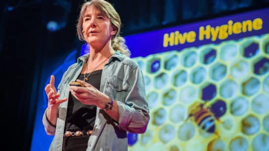 15 Must-Watch Ted Talks on Climate Change