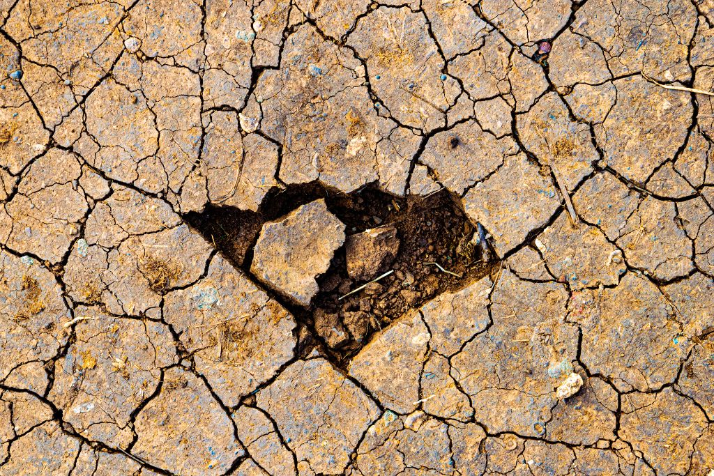 What a Global Water Shortage Would Mean for Living Things on Earth