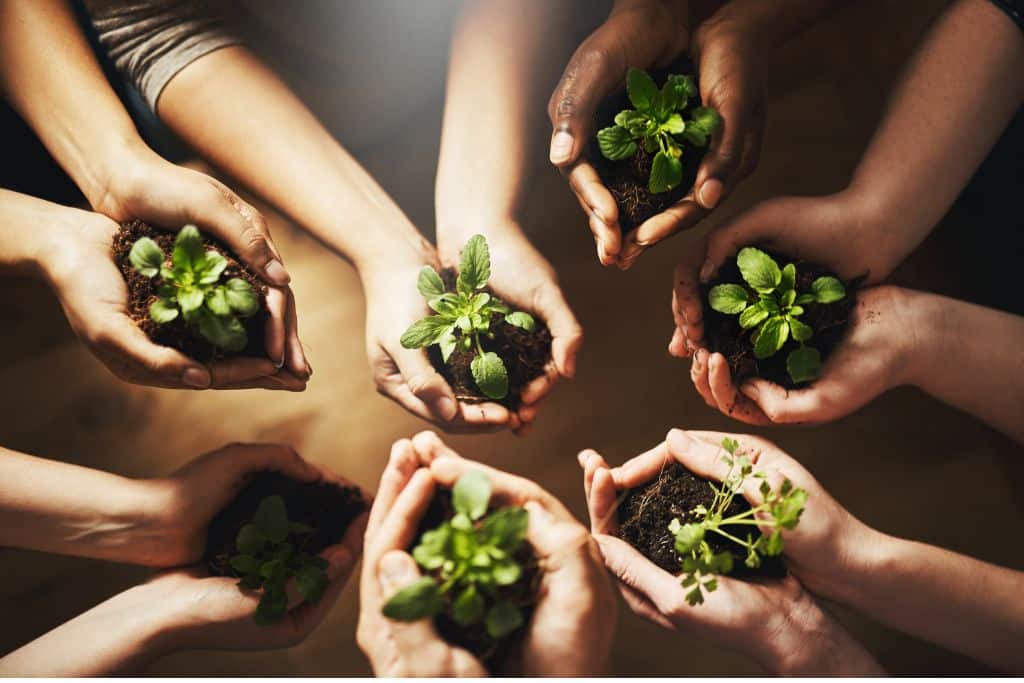 Sustainable Diet: How to Reduce Your Food's Carbon Footprint | Earth.Org