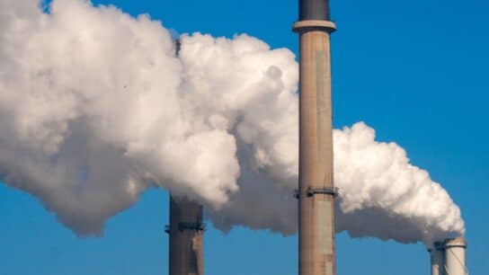 The Pros and Cons of Offsetting Carbon Emissions