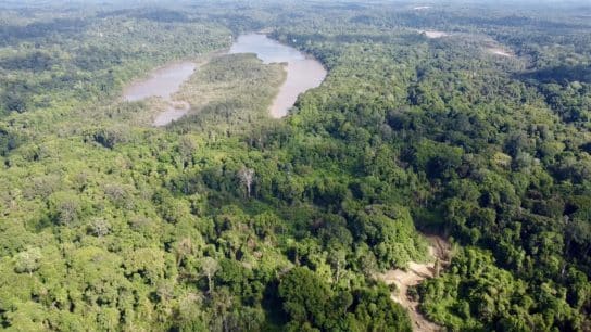 A Partnership to Protect the Dulan Forest of Indonesia: An Interview with Dax Dasilva