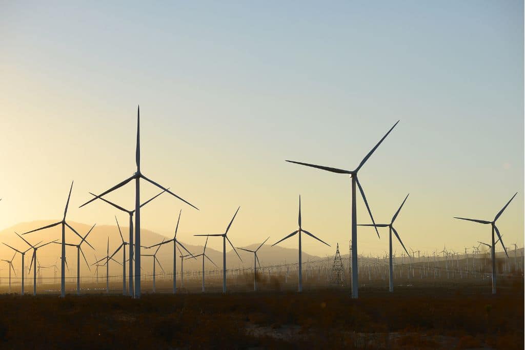 Growth of Renewable Energy in US Defies Trump Administration’s Attacks 