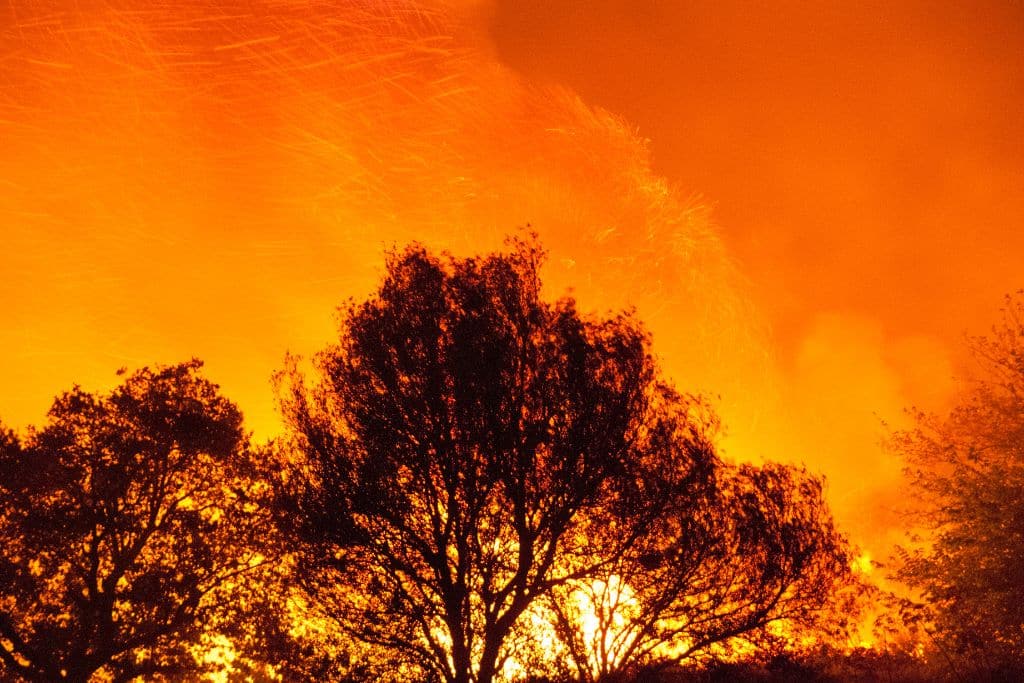 The Evolution of Wildfires Mitigation in North America