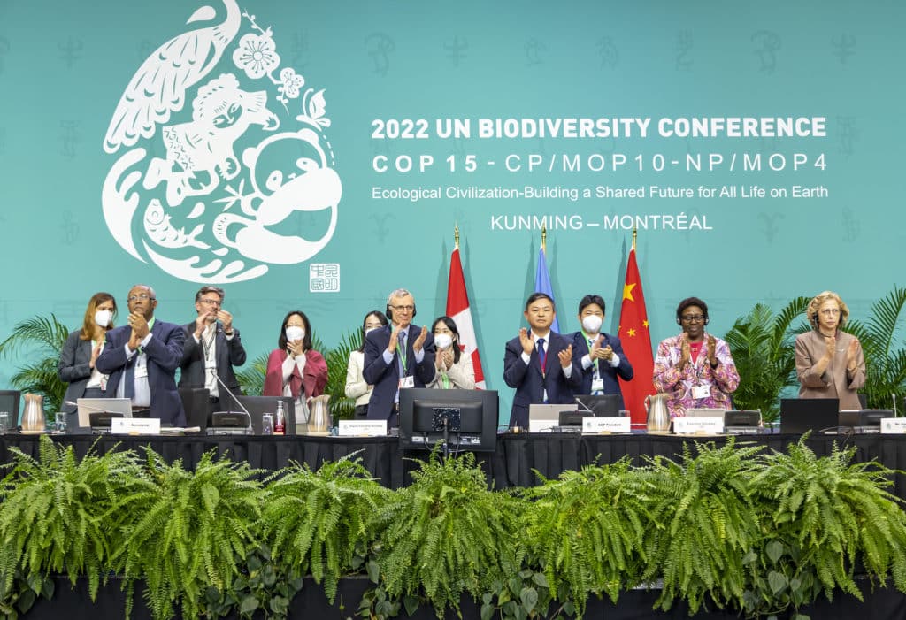 cop15 deal; cop15; UN biodiversity conference