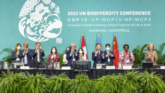Historic COP15 Deal Provides Critical Financing to Save the World’s Biodiversity