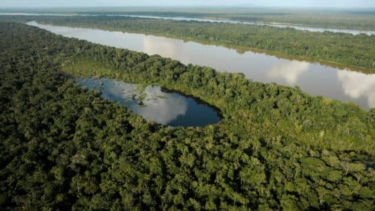 Amazon Rainforest: The Legal Battlefield for Land Ownership and Land Use Rights