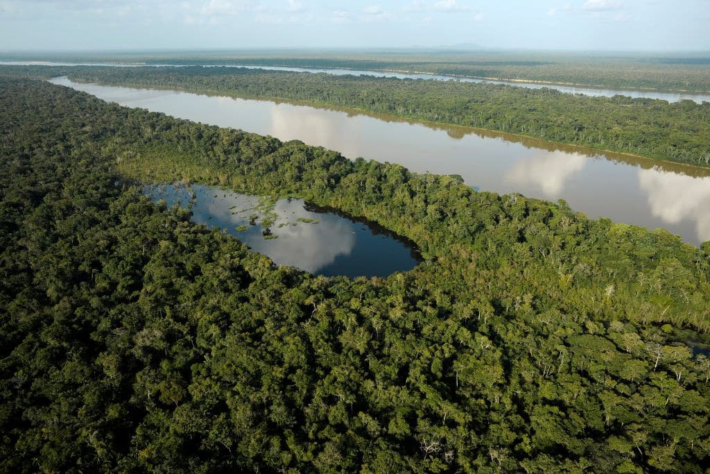 amazon Land Ownership; amazon rainforest