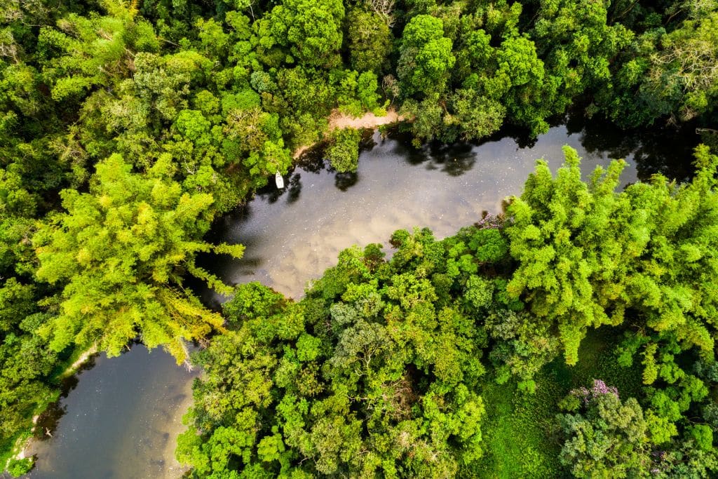 Beyond the Headlines: Defining Policy Wins for Nature in 2025