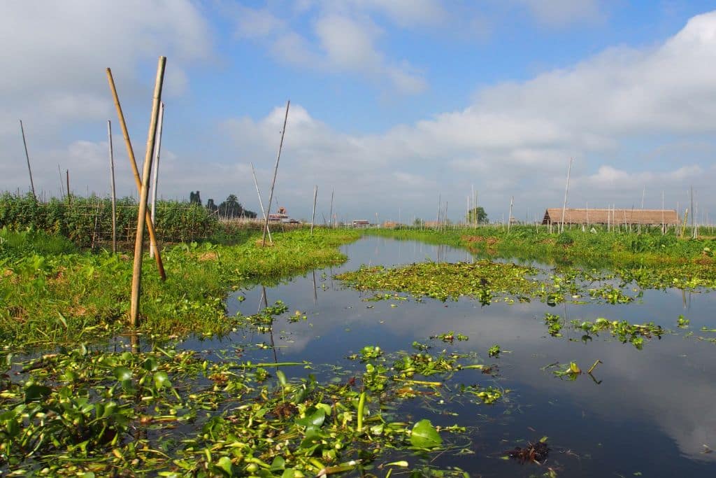 The Role of Indigenous Knowledge in Climate Change Adaptation In Bangladesh and the Philippines