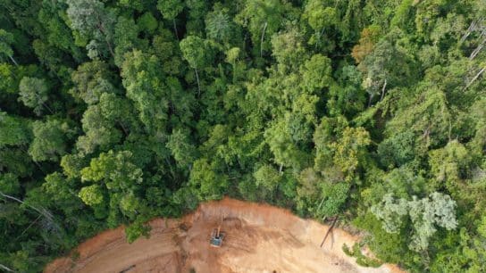 Global Deforestation in 2022: Can the World Reach the Global Deforestation Pledge?