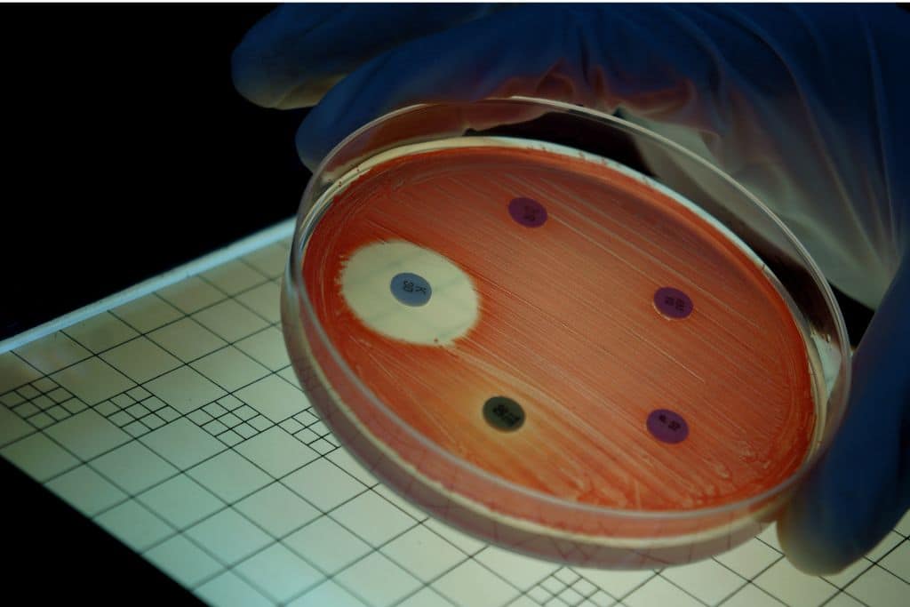 How Pharmaceutical and Farming Pollution Are Contributing to a Rise in Superbugs