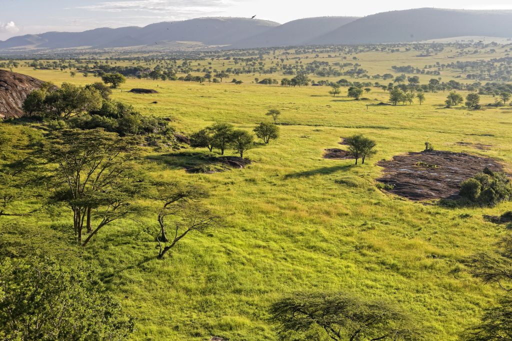 How Conservation Contributes to the Displacement of Indigenous People