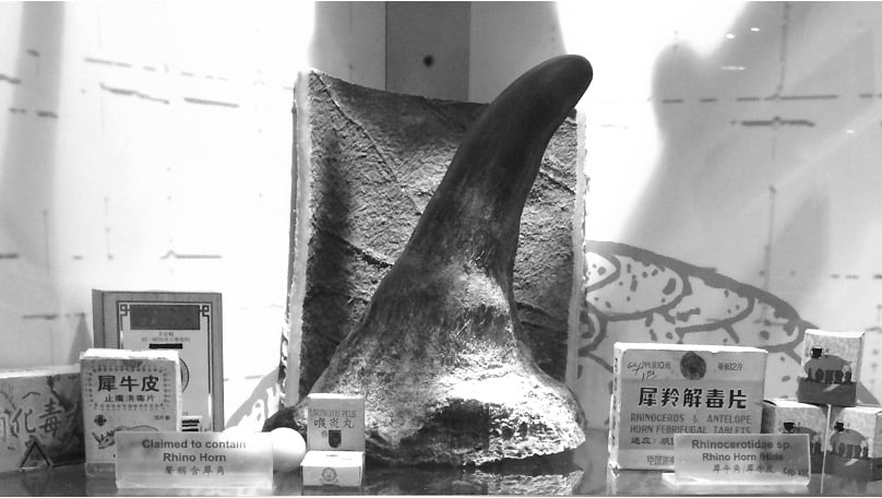 Finished products known to have rhino horn, seized by Hong Kong officials. © GAO