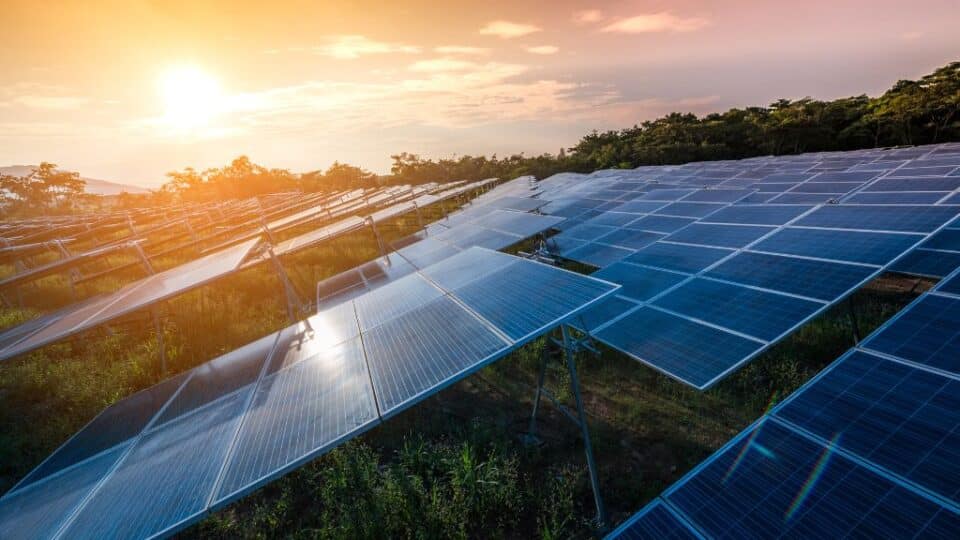 solar energy; field with solar panels