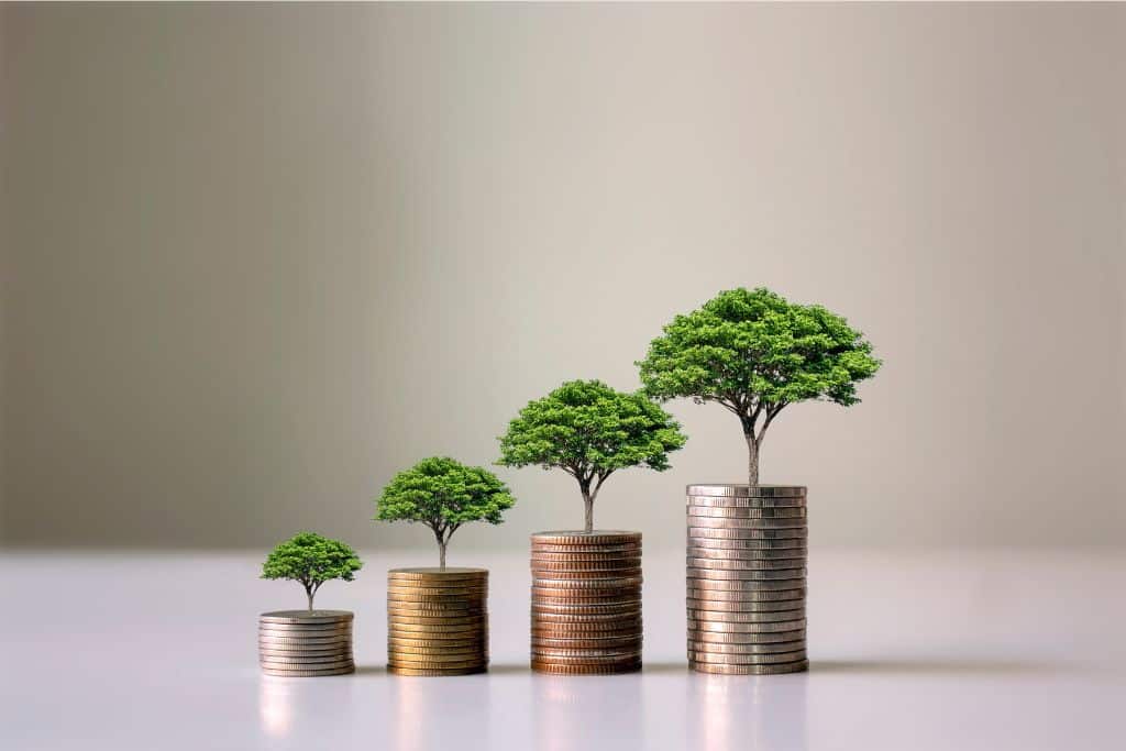 impact investing; green investments