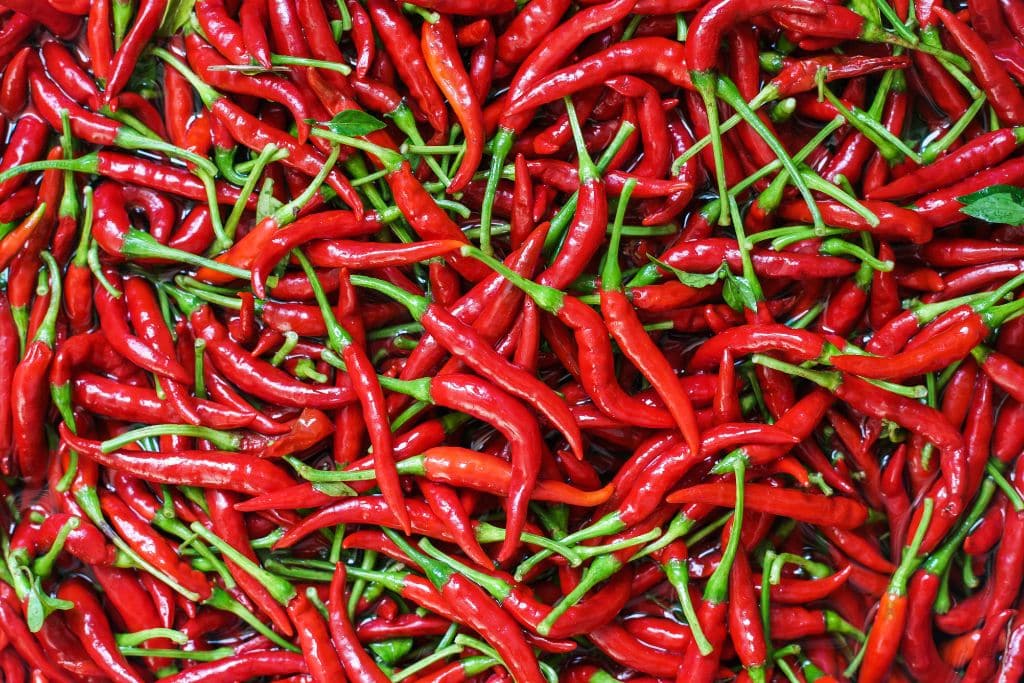 chilli peppers; chili peppers