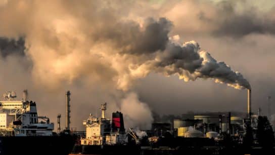 The Benefits of Voluntary Carbon Markets