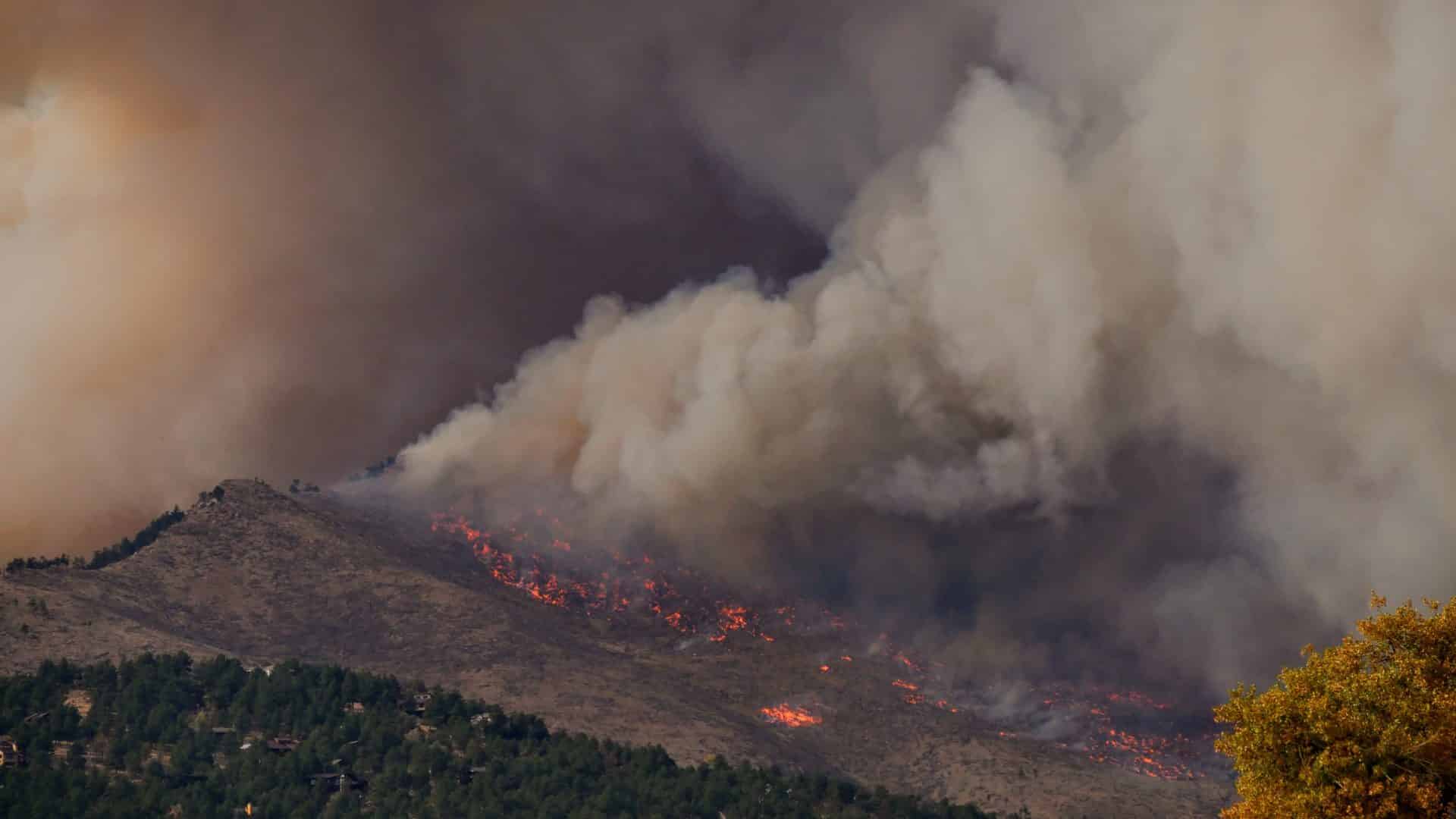 wildfires; forest fires; summer 2023 extreme weather events