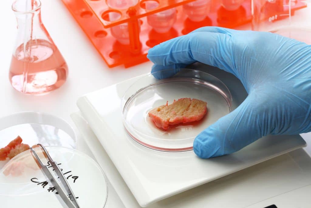 what is cellular agriculture? lab-grown meat pros and cons; lab-grown seafood
