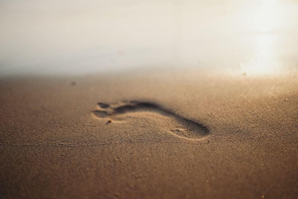 carbon footprint; footprint in sand