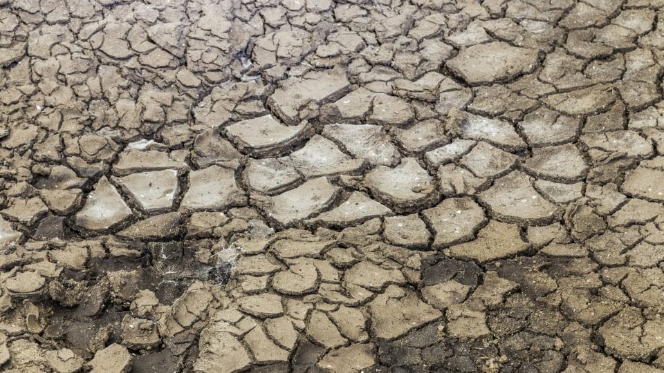 Cracked soil background and texture. Storyblocks
