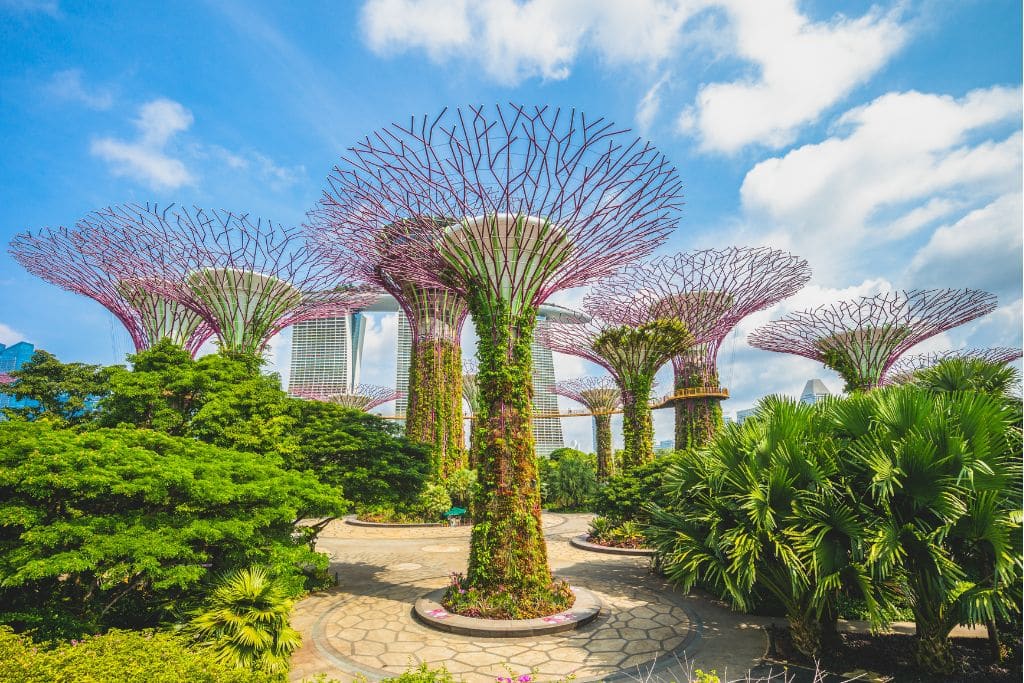 singapore urban heat solutions; green spaces in cities