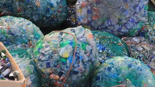 Are Plastic-Free Policies Effective?