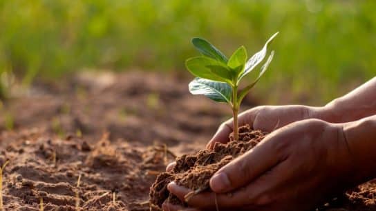 soil; save soil movement; soil health; world soil day