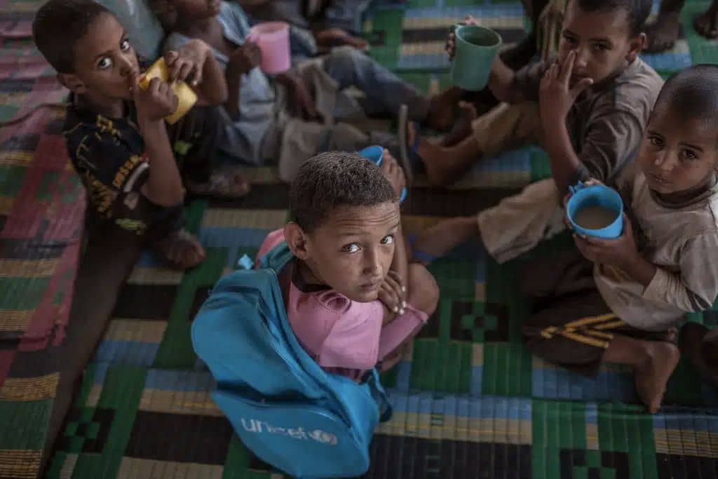 The Climate Crisis Is an Education Crisis 