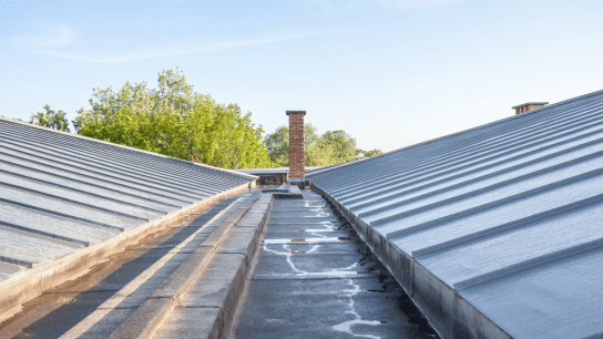 Cool Roofs Are a Sustainable Solution to Beat the Heat, but Will They Ever Hit the Mainstream?