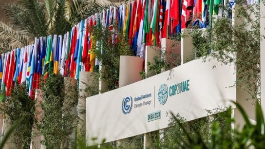 Rich Nations Pledge $260 Million For Climate Loss and Damage Fund on COP28 Opening Day