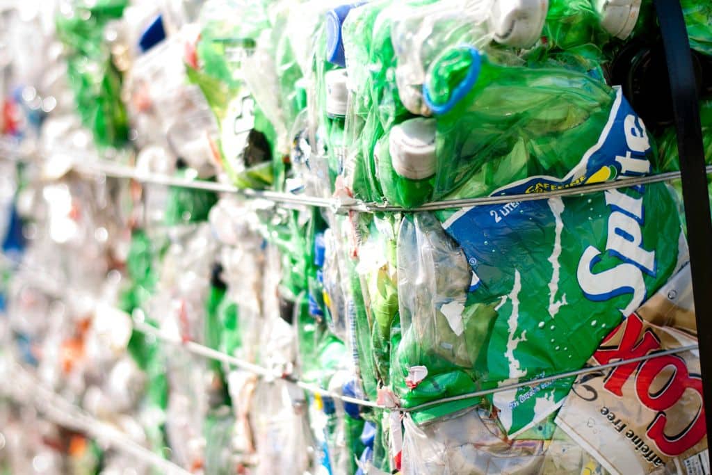 plastic pollution; plastic waste; plastic recycling