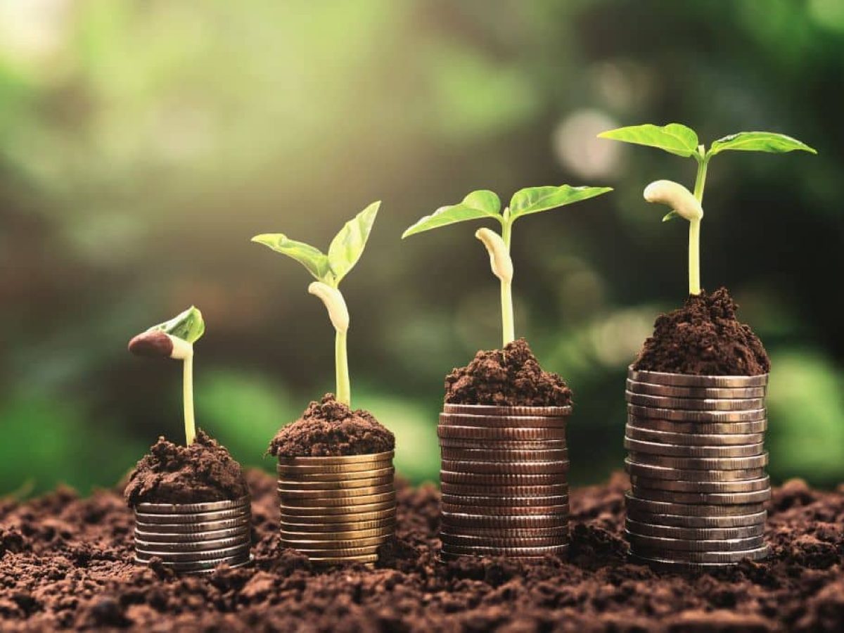 How Countries Can Balance Economic Growth and Sustainability, image size:1200x900