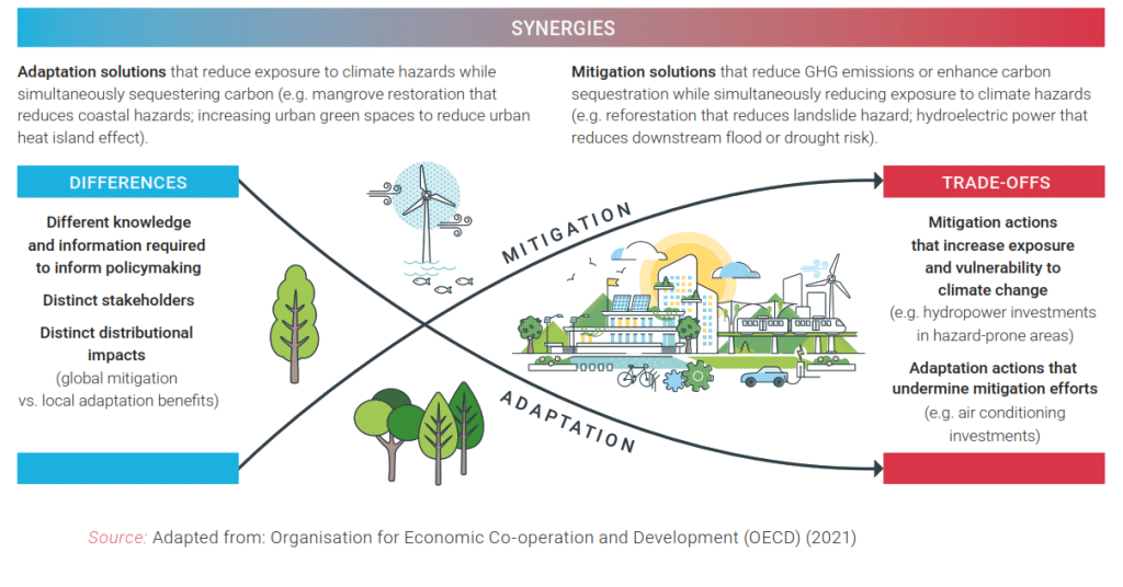 synergies between climate adaptation and climate mitigation