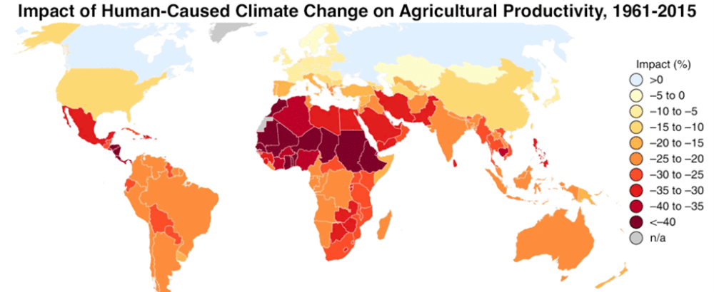Impact of anthropogenic climate change on global agricultural productivity, 1961-2015