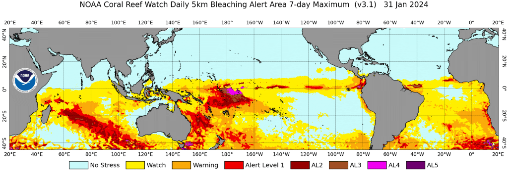Daily Global 5km Satellite Coral Bleaching Heat Stress Alert Area 31 January 2024