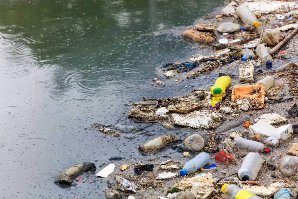 plastic waste floating in water