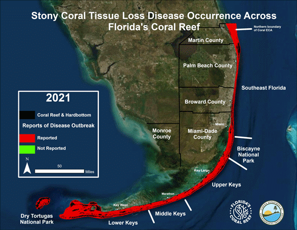 Map of the outbreak of a coral disease in Florida termed stony coral tissue loss disease.
