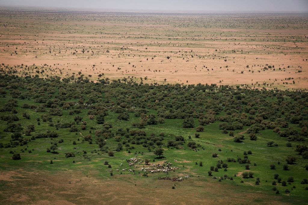 Aerial photo of the Great Green Wall Initiative in Mali, Africa