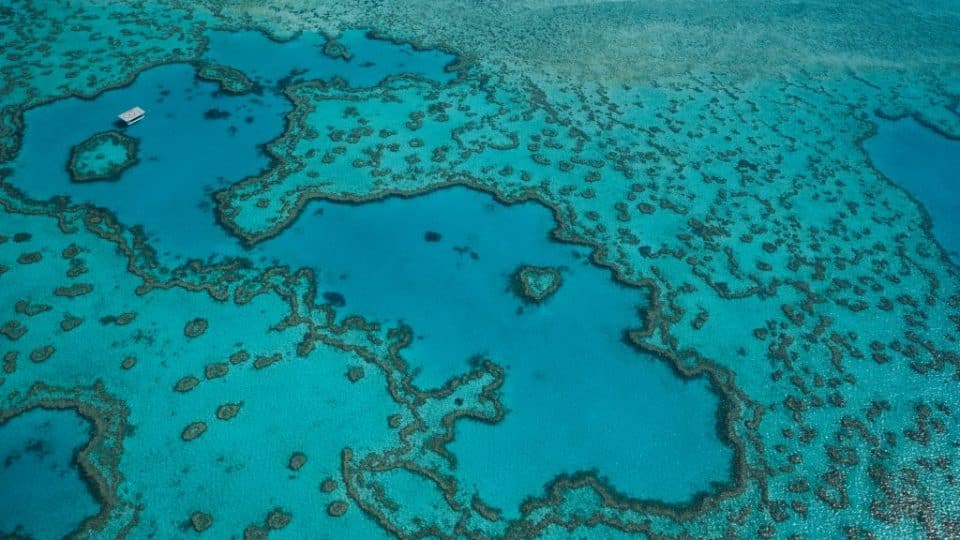 Aerial image of the Great Barrier Reef; coral reef