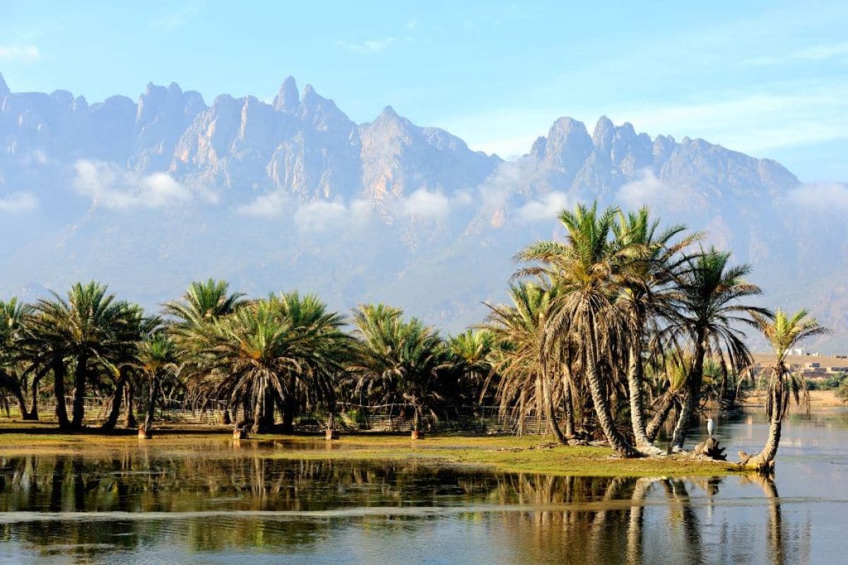 Socotra Island: The Indian Ocean's Biodiversity Treasure