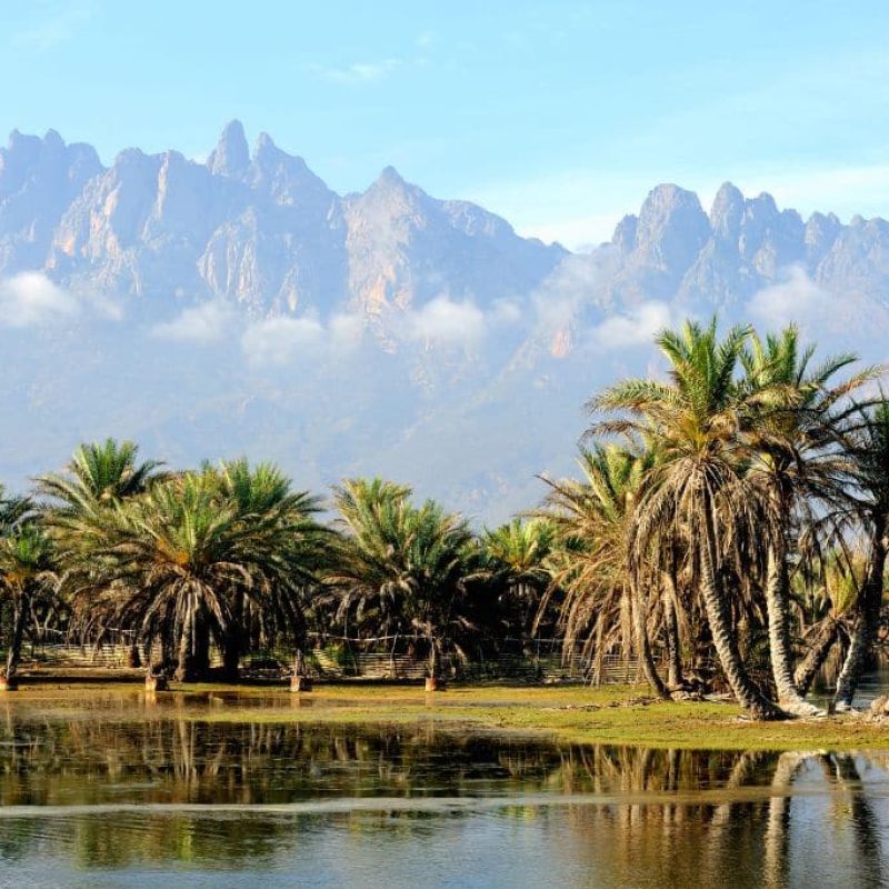 洋書 Fauna of the Socotra Archipelago Field Fauna&Flora – Welcome to Socotra